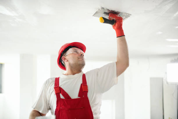 Eco-Friendly and Low-VOC Painting in Lake Shore, WA